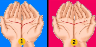 Linija srca: Otkrijte svoje skrivene osobine i veze sa ljudima