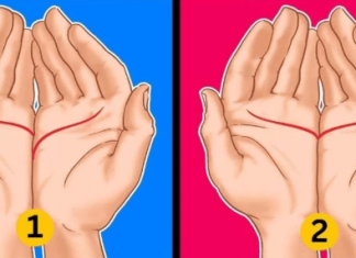 Linija srca: Otkrijte svoje skrivene osobine i veze sa ljudima