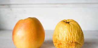 Nemojte bacati stare jabuke: Evo kako ih možete iskoristiti da poboljšate svoje zdravlje