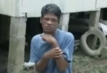 Šta se desilo sa decom koju su odgajale životinje? Kad su ga doveli, kljucao bi kao kokoška i sedeo na stolicu kao da je prečka