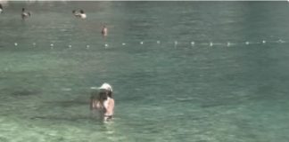 “Ovo je kraj svijeta” Žena snimljena u Crnoj Gori kako USRED MORA RADI OVO i internet je doslovno eksplodirao “Ovo je kraj svijeta” Žena snimljena u Crnoj Gori kako USRED MORA RADI OVO i internet je doslovno eksplodirao - featured image