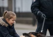 Službeni pas je počeo lajati kada je vidio petogodišnju djevojčicu, a zatim joj je oteo plišanu igračku iz ruku: a onda se desilo nešto neočekivano 😱😱