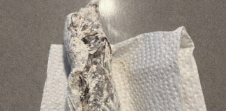 Pronašla sam nešto čudno u pakovanju brašna: odlučila sam otvoriti celofan da vidim šta je unutra… i kada sam shvatila šta je, bila sam potpuno šokirana.
