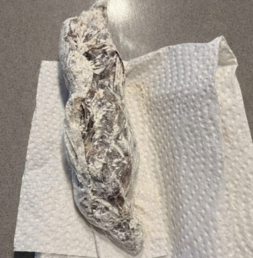 Pronašla sam nešto čudno u pakovanju brašna: odlučila sam otvoriti celofan da vidim šta je unutra… i kada sam shvatila šta je, bila sam potpuno šokirana.