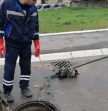 IZVUKLI “KAPITALCA” OD DVA METRA IZ KANALIZACIJE: Radnici ŠOKIRANI prizorom u naselju Vojvode Vlahovića! (FOTO)