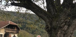 Djed je cijeli život branio da posijeku staru krušku — a nakon njegove smrti u deblu su pronašli tajnu koju je čuvao sedamdeset godina Djed je cijeli život branio da posijeku staru krušku — a nakon njegove smrti u deblu su pronašli tajnu koju je čuvao sedamdeset godina - featured image