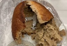 Neobično otkriće u vekni hleba izazvalo pažnju javnosti: Carinici pronašli ukradeni nakit skriven na nesvakidašnjem mestu Neobično otkriće u vekni hleba izazvalo pažnju javnosti: Carinici pronašli ukradeni nakit skriven na nesvakidašnjem mestu - featured image