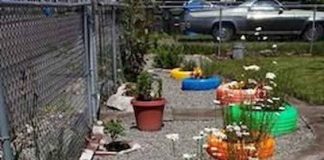 BEZ IKAKVOG TROŠKA: 10 kreativnih ideja za uređenje dvorišta