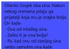VIC DANA: SNAJKE