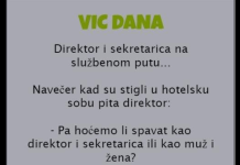 VIC DANA: Direktor i sekretarica na službenom putu