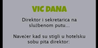 VIC DANA: Direktor i sekretarica na službenom putu
