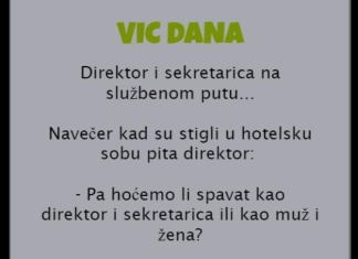 VIC DANA: Direktor i sekretarica na službenom putu