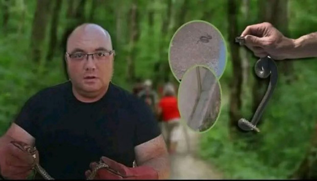 Kako postupiti pri susretu sa zmijom i zašto je svaka minuta nakon ugriza važna - featured image Kako postupiti pri susretu sa zmijom i zašto je svaka minuta nakon ugriza važna - featured image