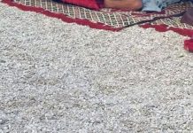 Prespavali su na plaži kod Splita i postali hit na društvenim mrežama, odmah će vam biti jasno zašto Prespavali su na plaži kod Splita i postali hit na društvenim mrežama, odmah će vam biti jasno zašto - featured image