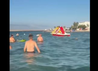 “Marš ti iz mora!” Snimak sa hrvatske plaže izazvao lavinu komentara: Turisti iznervirani onim što su vidjeli u vodi (VIDEO) “Marš ti iz mora!” Snimak sa hrvatske plaže izazvao lavinu komentara: Turisti iznervirani onim što su vidjeli u vodi (VIDEO) - featured image