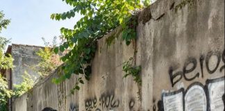 Moj sin je pokazao na dvoje dece među smećem i rekao: “Tata, liče na mene”… onda sam otkrio laž koja nas je razdvojila 5 godina.