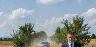 Napuštena starica je koračala cestom da pronađe svog izgubljenog sina… ne sluteći da će neznanac promeniti njenu sudbinu i ponovo ih spojiti posle 38 godina.
