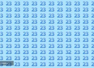 Ovo je viralna mozgalica koja je sve zaludila: Svi ovdje vide broj 23 ali jedan se broj dobro sakrio! 15 sekundi imate, ako nađete GENIJALCI STE