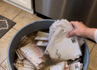 Buduća svekrva ubacila je naše frankirane pozivnice za vjenčanje u kantu prljave vode – a zatim tvrdila da je to bila „samo nezgoda”. Ono što je moj zaručnik nakon toga učinio bilo je njezina najgora noćna mora.
