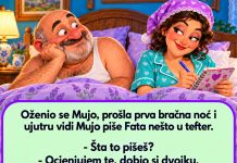 VIC DANA: Fata ocjenjuje Muju VIC DANA: Fata ocjenjuje Muju - featured image