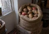 Ubacite 1 stvar u džak sa krompirom: Sprečava klijanje i truljenje, ostaje svež mesecima TRIK KOJI DO SADA NISTE PROBALI