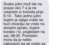 Moram priznati da moj suprug na posao odlazi oko 7 sati ujutro, dok ja inače ne ustajem iz kreveta do 9-10 sati.