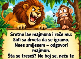 VIC: Majmun i lav VIC: Majmun i lav - featured image