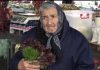 KAD TELO POČNE DA PROPADA Baka sa pijace dala nam je recept “spasa” od 2 sastojka, koji vraća čelično zdravlje… KAD TELO POČNE DA PROPADA Baka sa pijace dala nam je recept “spasa” od 2 sastojka, koji vraća čelično zdravlje… - featured image
