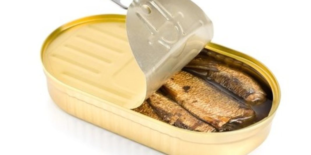 Jedete li sardine iz konzerve? EV0 ŠTA ZAPRAV0 UN0SlTE U SEBE, ŽlV0T ĆE VAM SE ZGADlTl… - featured image Jedete li sardine iz konzerve? EV0 ŠTA ZAPRAV0 UN0SlTE U SEBE, ŽlV0T ĆE VAM SE ZGADlTl… - featured image