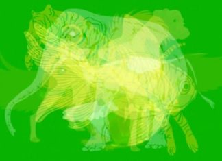 TEST: Prva životinja koju ugledate otkriva kakvu osobnost imate! TEST: Prva životinja koju ugledate otkriva kakvu osobnost imate! - featured image