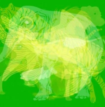 TEST: Prva životinja koju ugledate otkriva kakvu osobnost imate! TEST: Prva životinja koju ugledate otkriva kakvu osobnost imate! - featured image